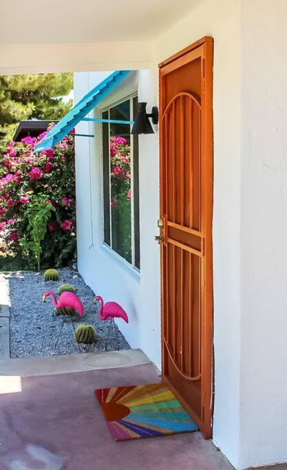 Newly Remodeled Midcentury Pink Flamingo Casa Villa Phoenix Exterior foto